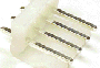 connector004007.gif